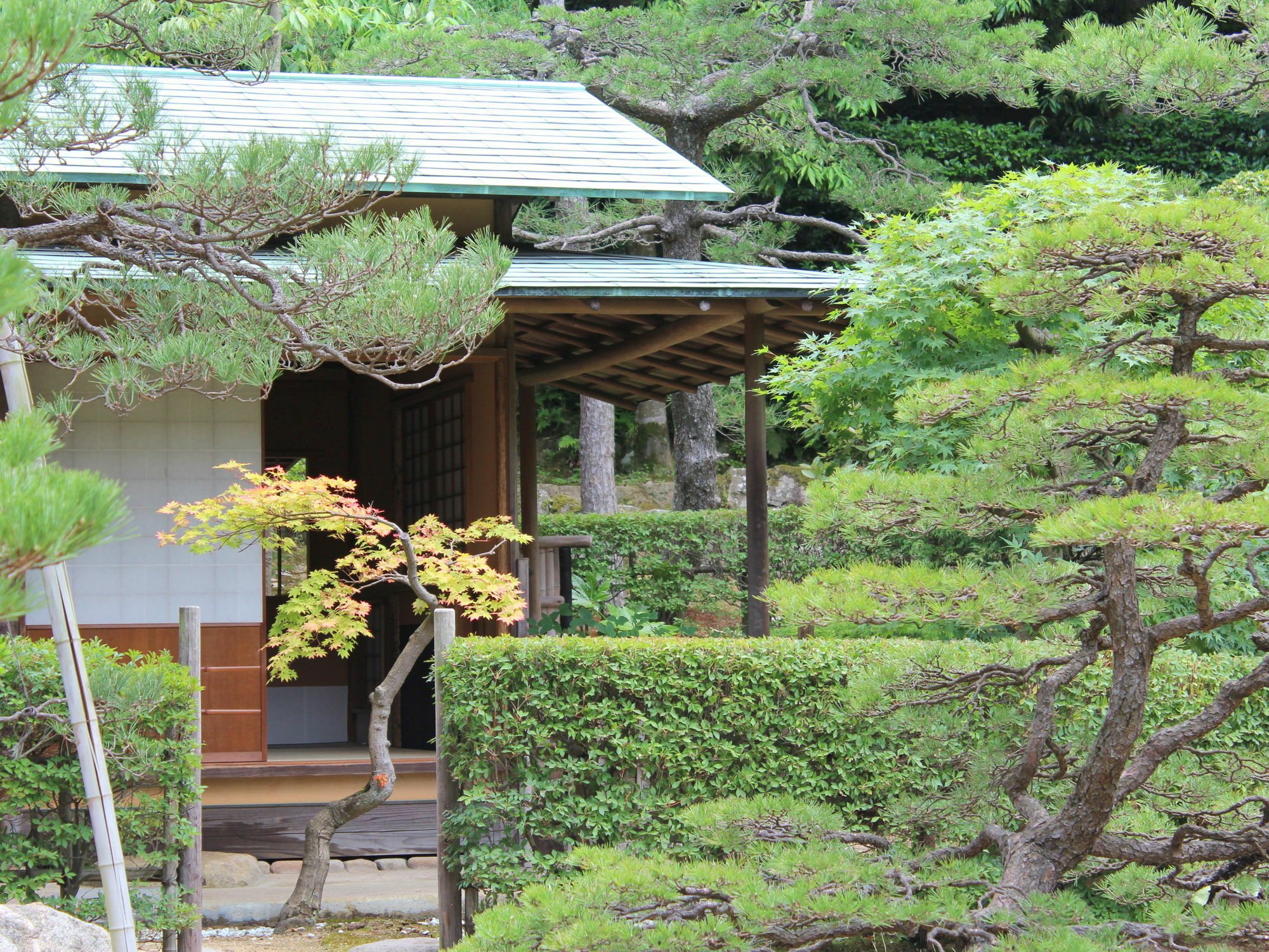 Hotel Gyokusen Matsue Zewnętrze zdjęcie